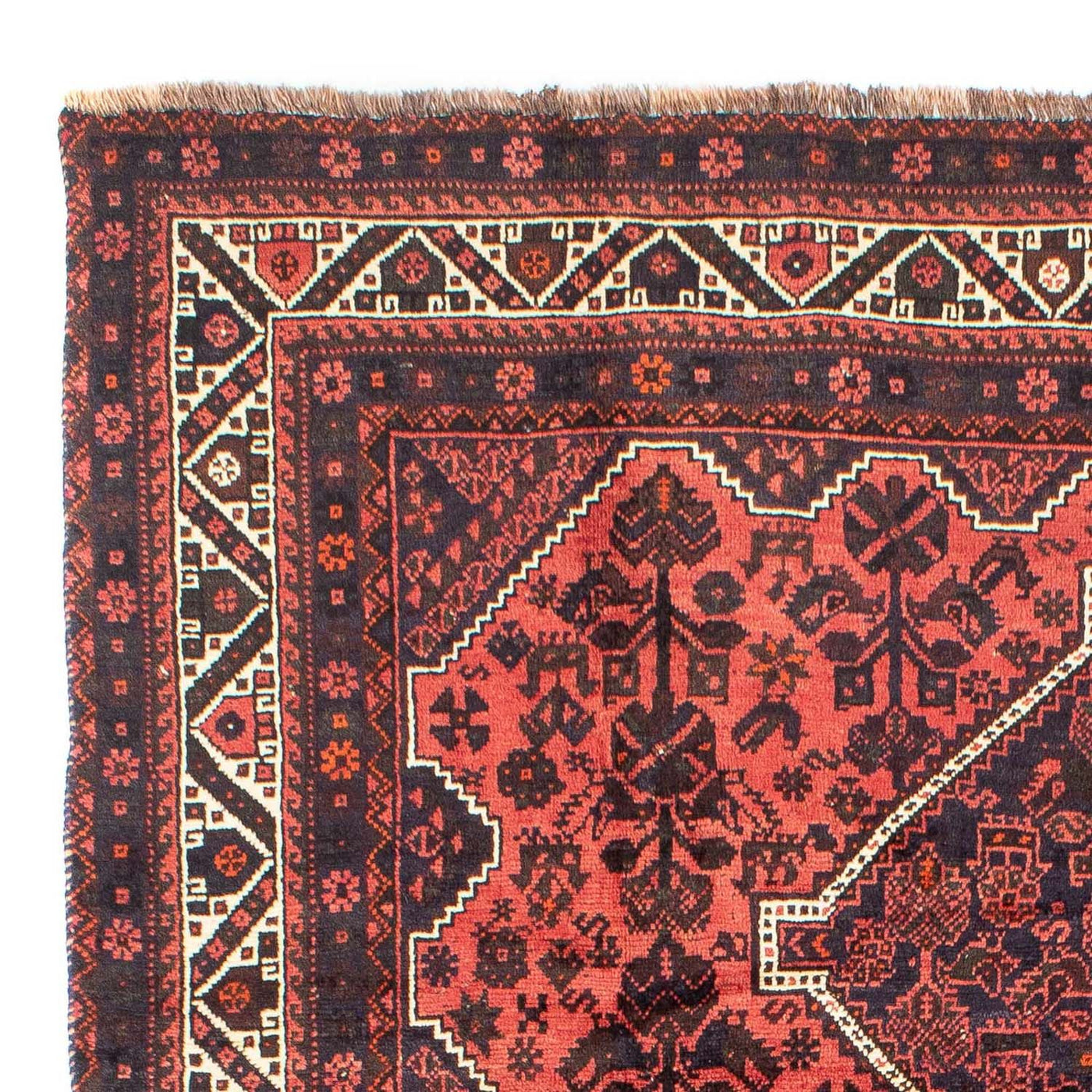 Shiraz Rug 300x207cm - Persian Rugs