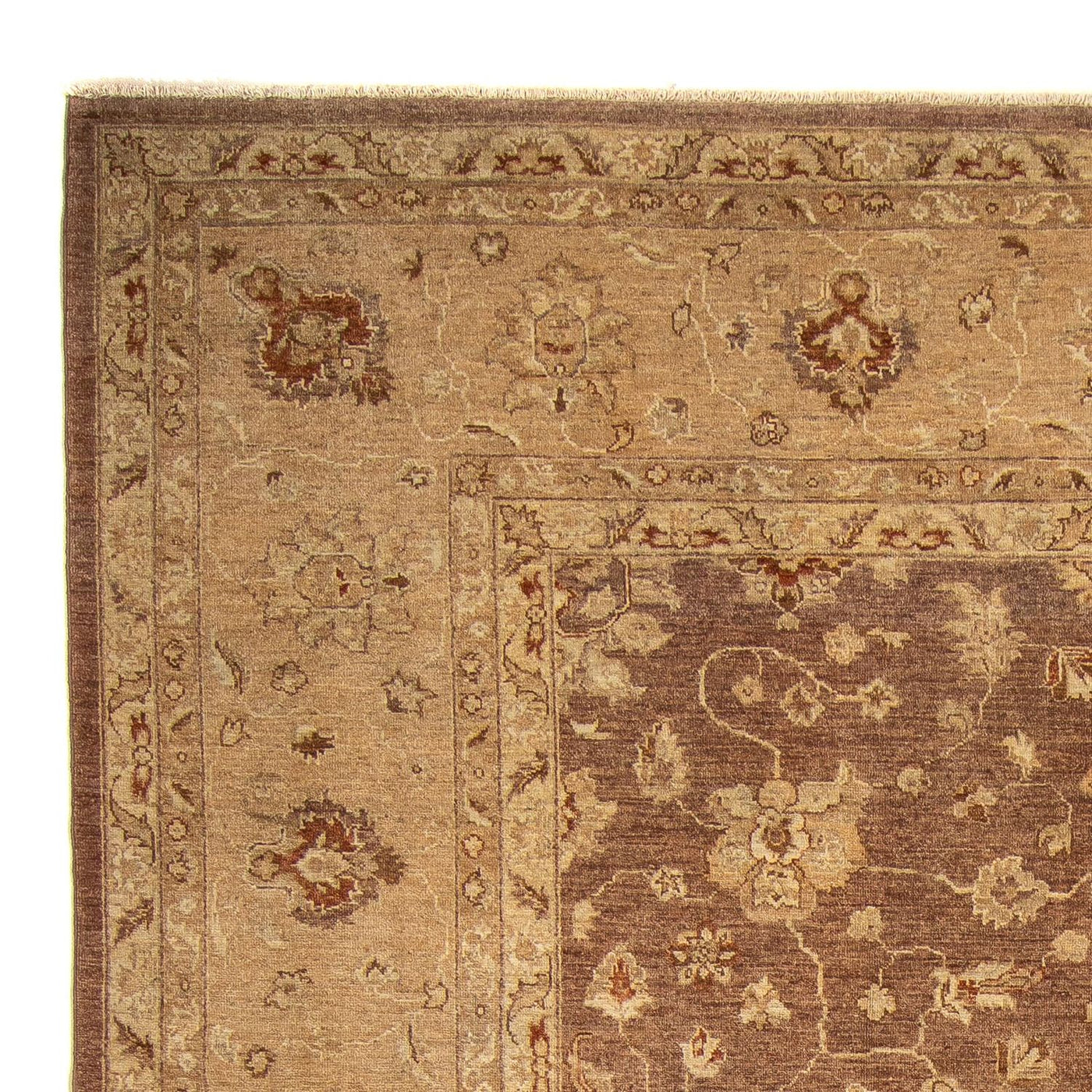Ziegler Rug 369x270cm - Oriental Rug