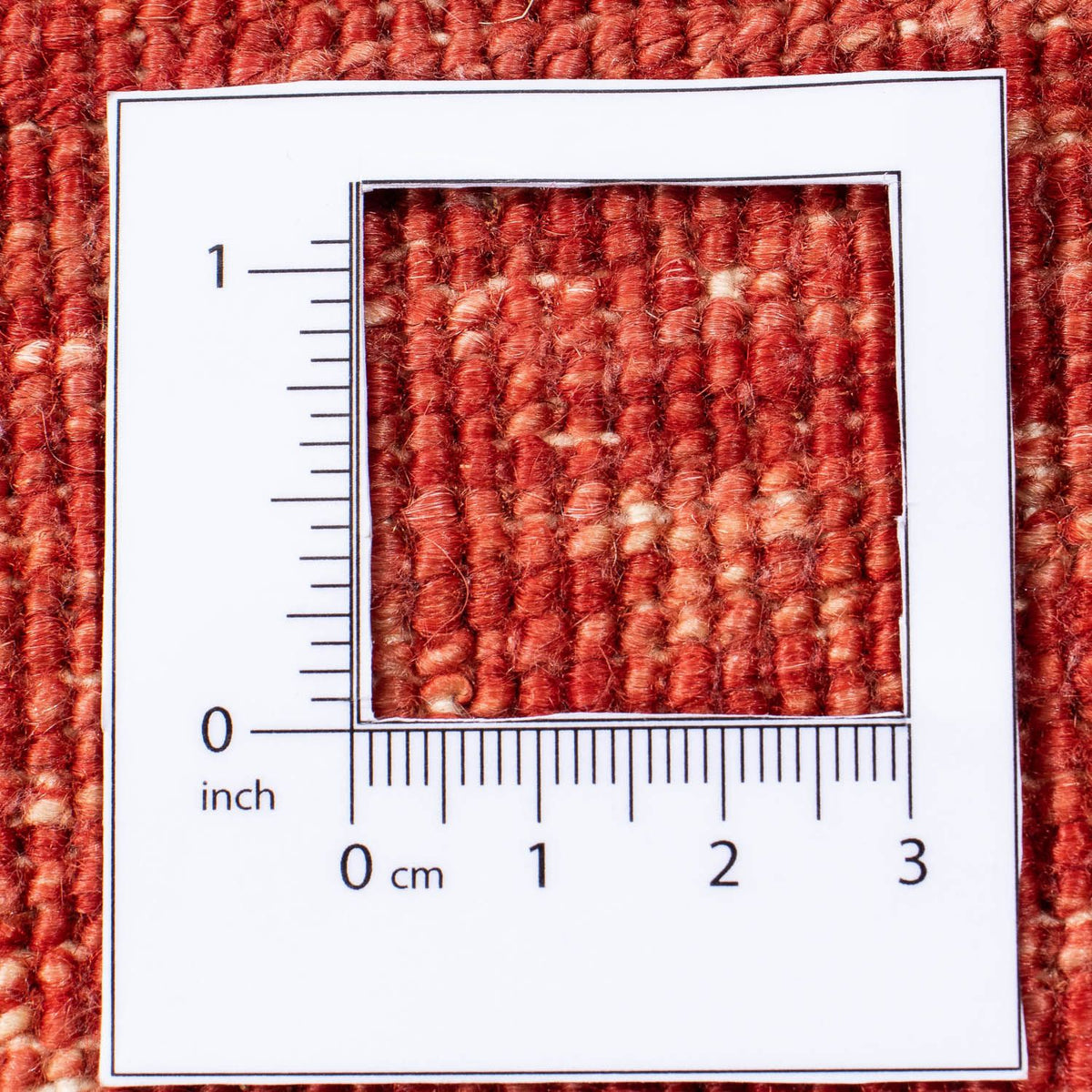 Ziegler Rug - 289 x 200 cm - beige