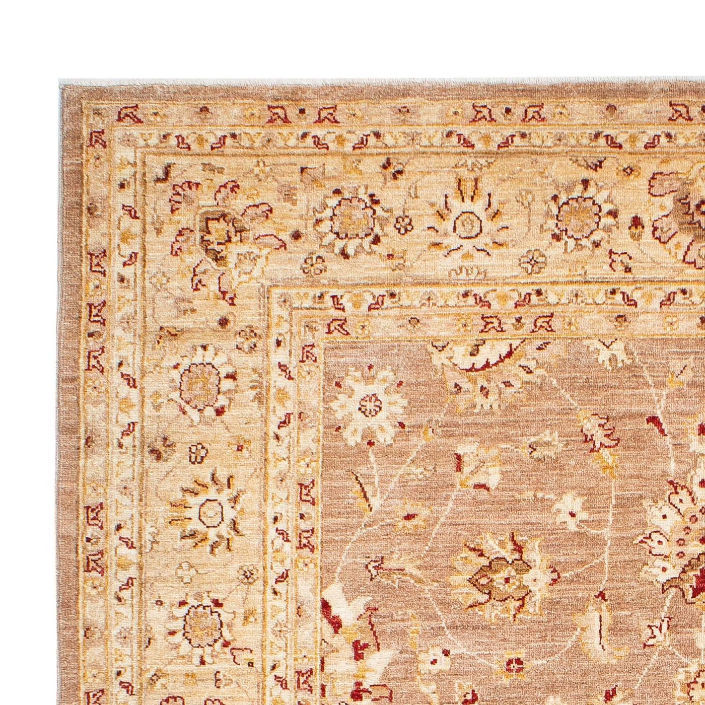 Ziegler Rug 245x171cm - Persian Rugs