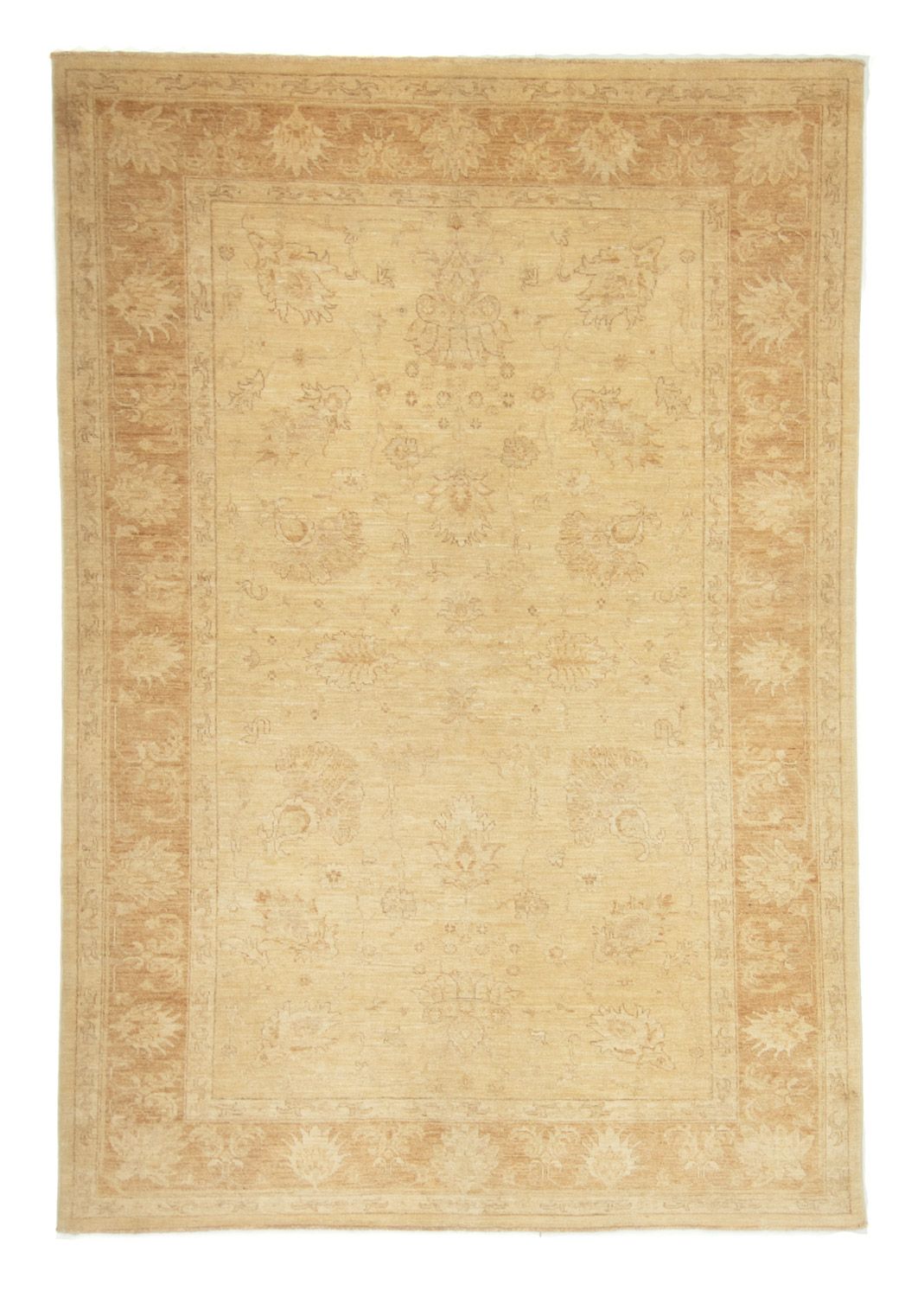 Ziegler Rug - 238 x 168 cm - beige