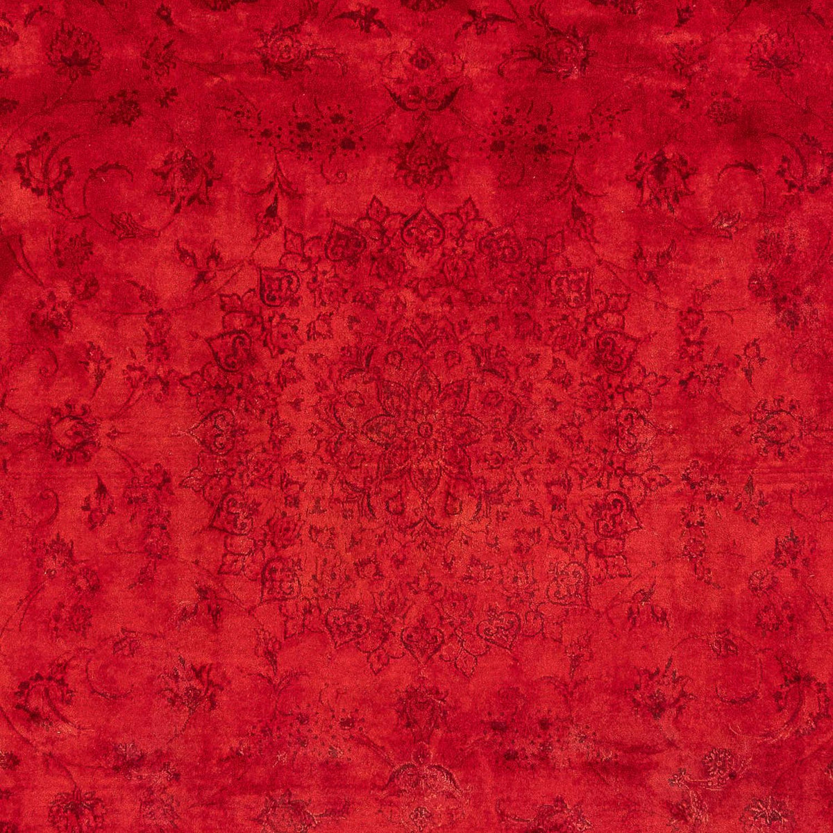Ziegler Rug - 238 x 168 cm - dark red