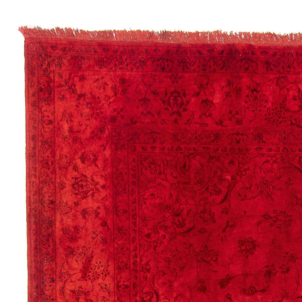 Ziegler Rug - 238 x 168 cm - dark red