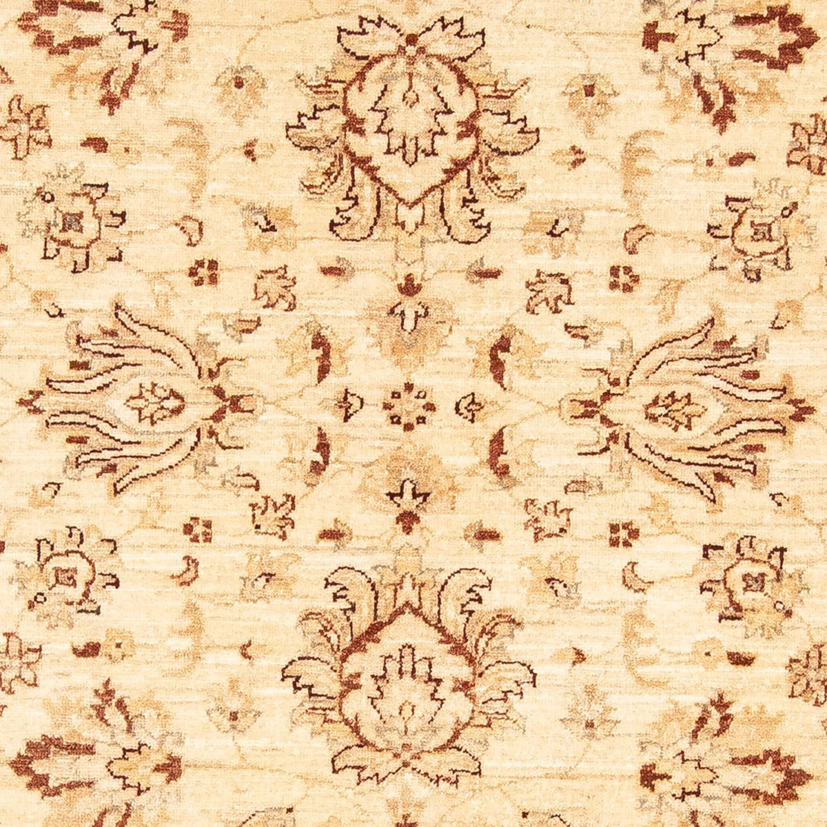 Ziegler Rug - 180 x 124 cm - beige