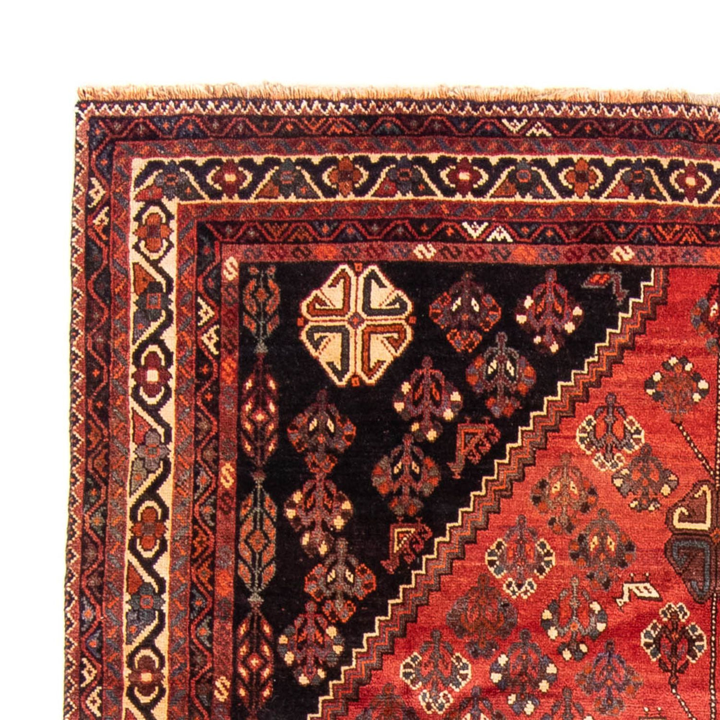 Shiraz Rug 323x235cm - Persian Rugs