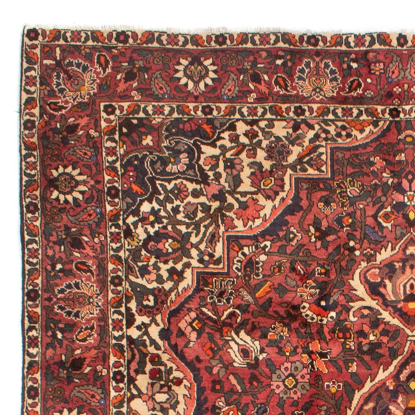 Bakhtiari Rug 302x209cm - Persian Rugs