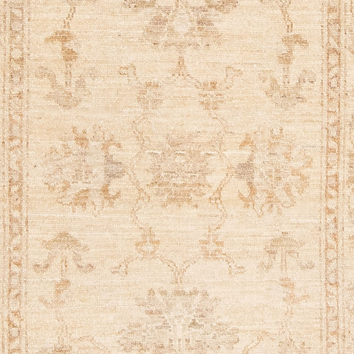 Runner Ziegler Rug - 249 x 79 cm - beige