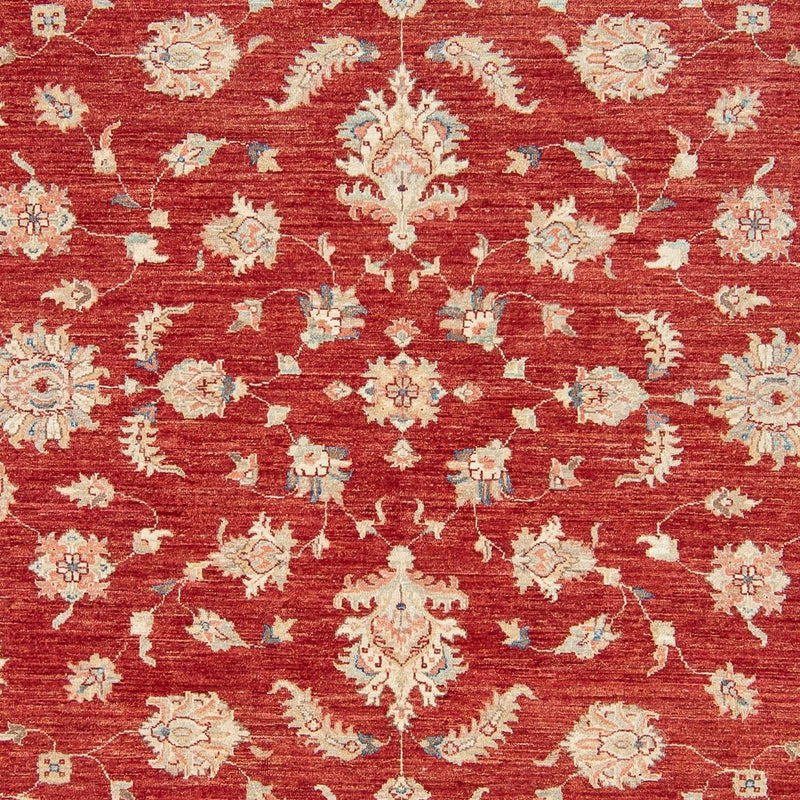 Ziegler Rug - 295 x 250 cm - dark red