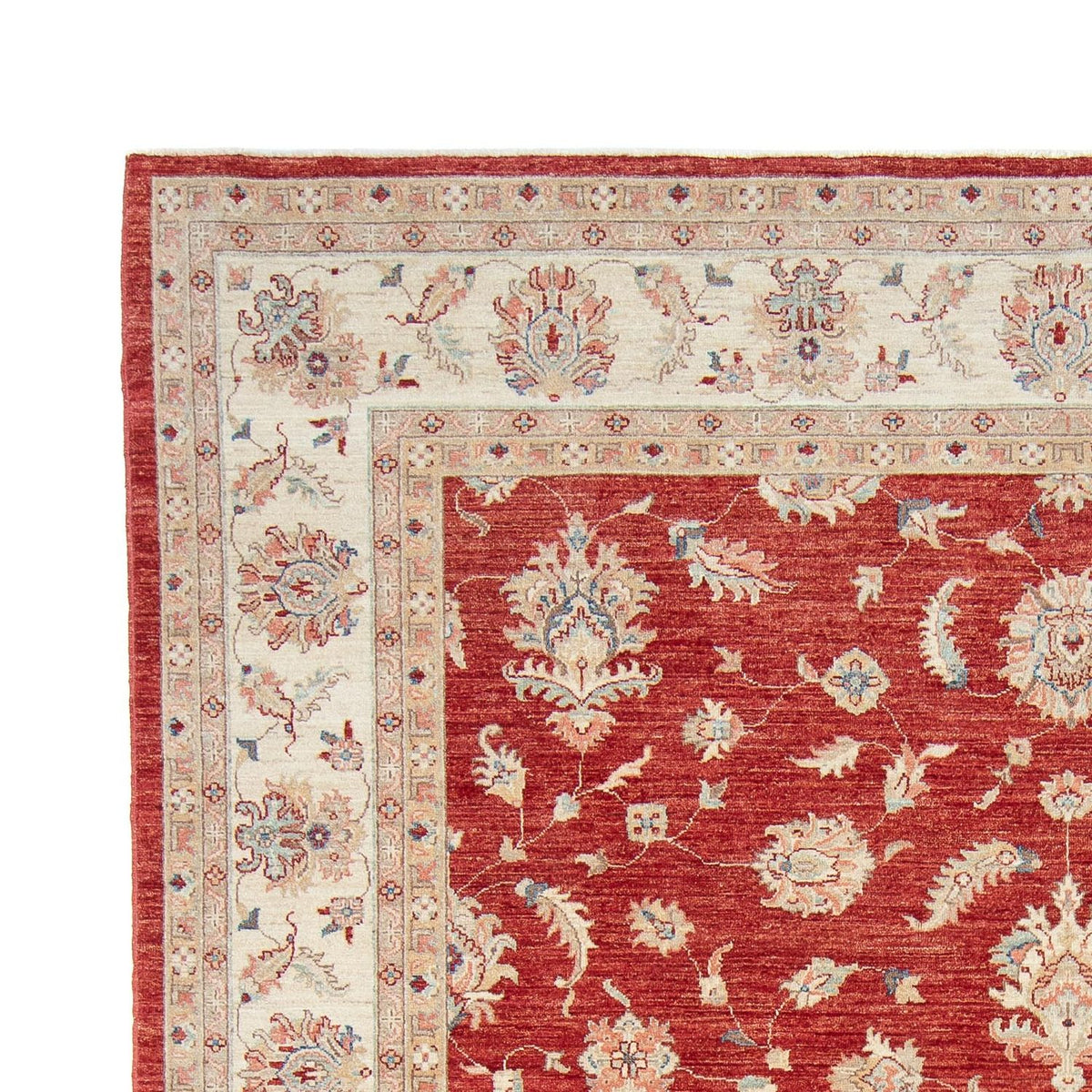 Ziegler Rug - 295 x 250 cm - dark red
