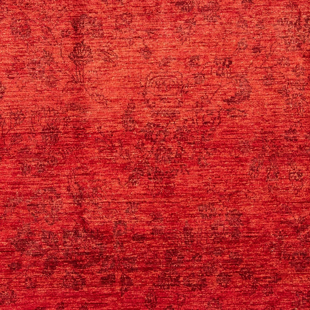 Ziegler Rug - 286 x 210 cm - dark red