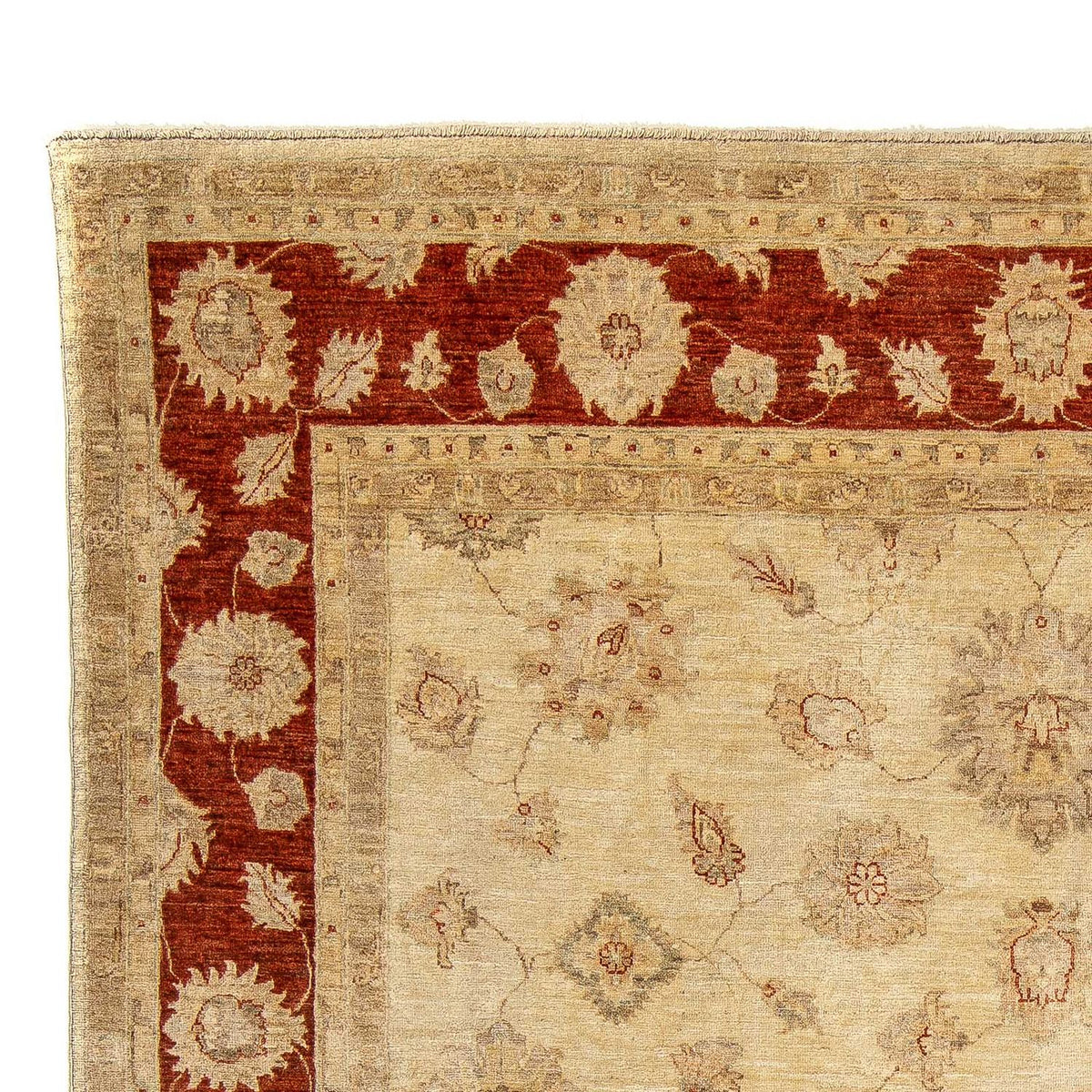 Ziegler Rug - 303 x 246 cm - light brown
