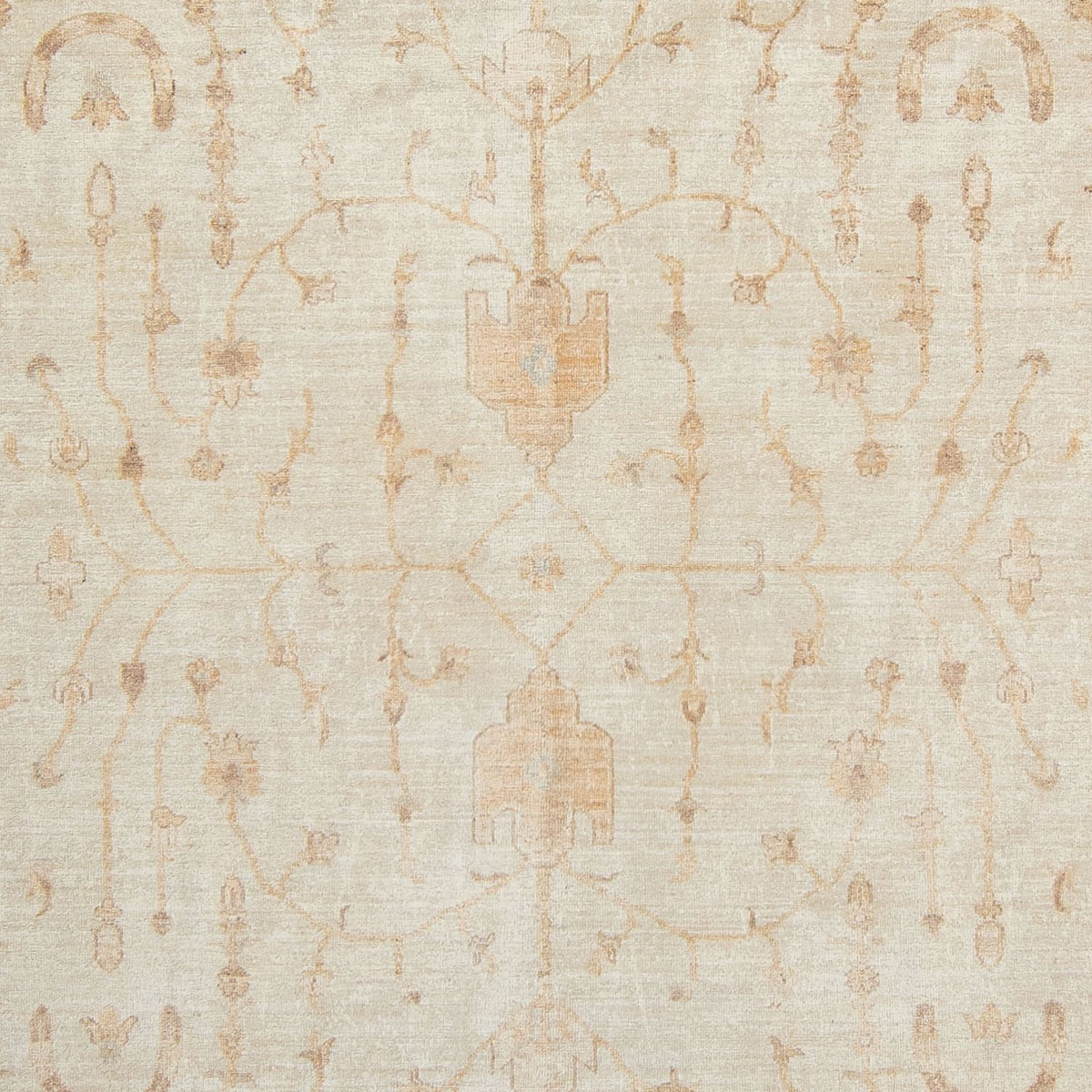 Ziegler Rug - 341 x 248 cm - beige