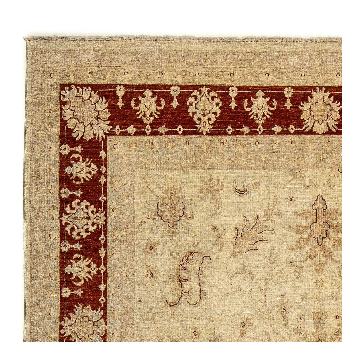 Ziegler Rug - 295 x 234 cm - beige