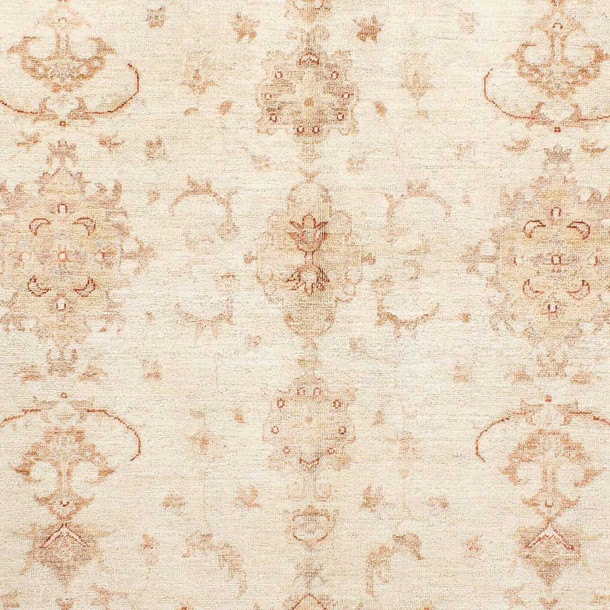 Ziegler Rug - 227 x 168 cm - beige