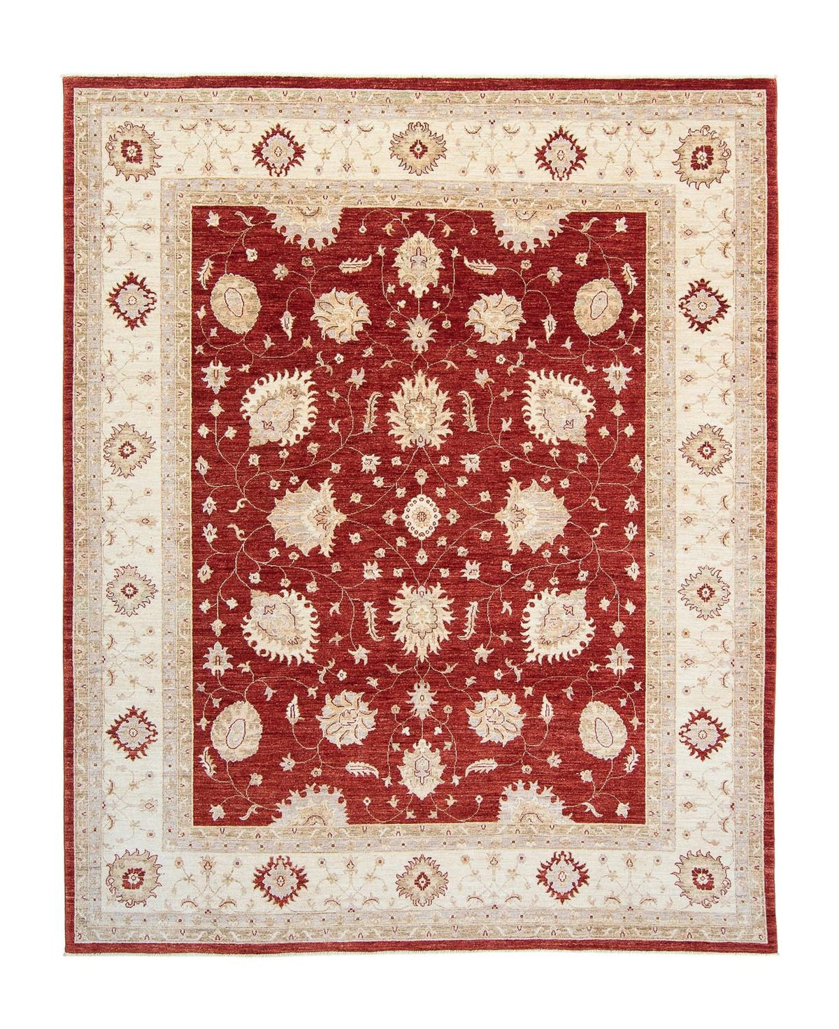 Ziegler Rug - 298 x 240 cm - dark red