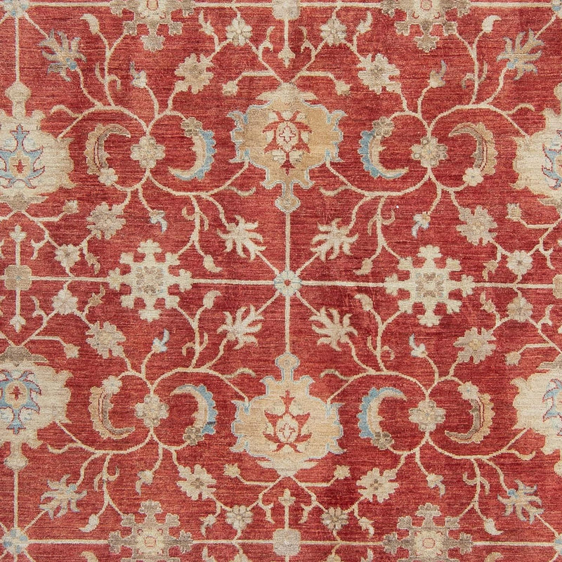 Ziegler Rug - 318 x 244 cm - rust