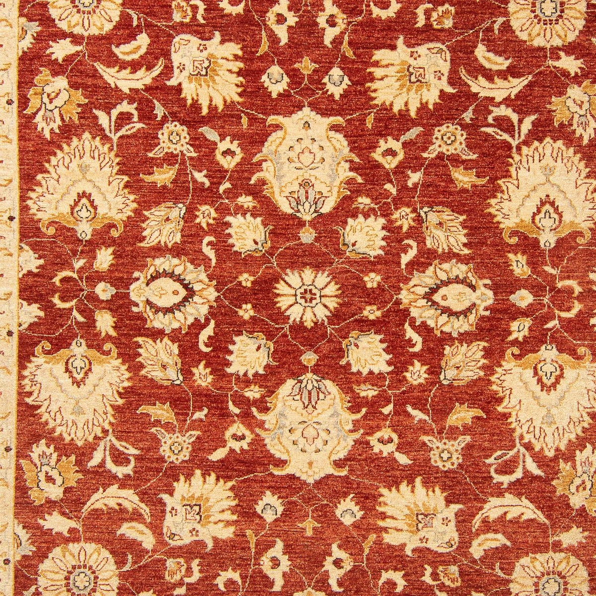 Ziegler Rug - 350 x 277 cm - red