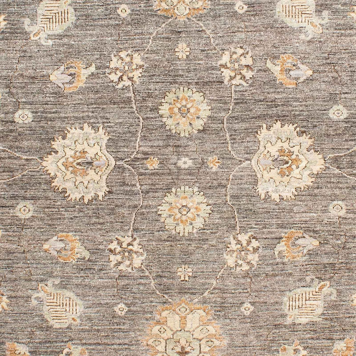 Ziegler Rug - 242 x 173 cm - beige