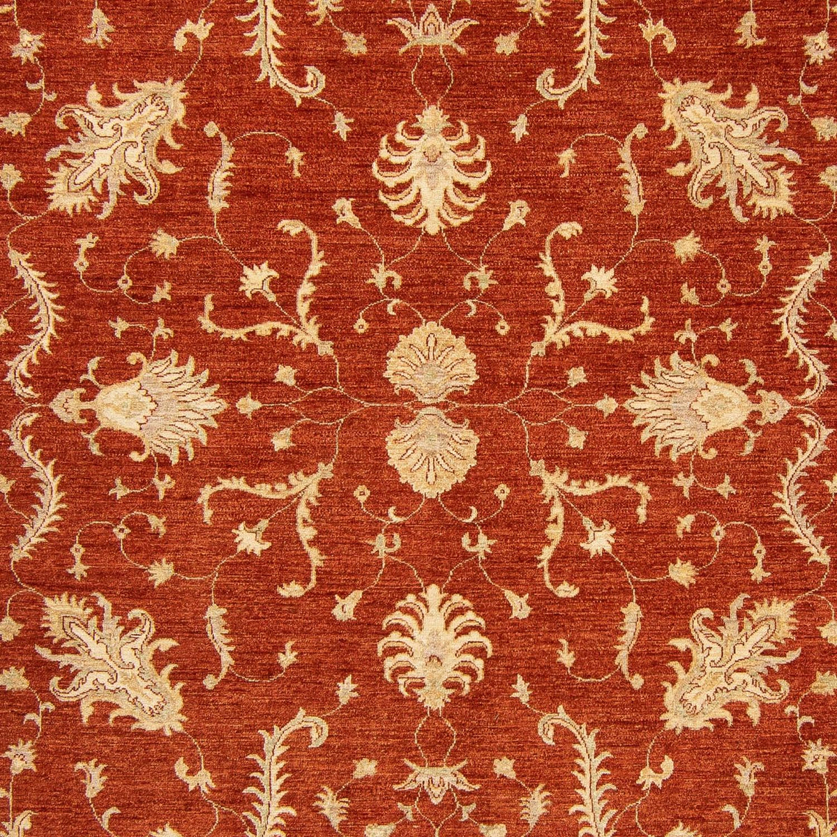 Ziegler Rug - 350 x 254 cm - dark red