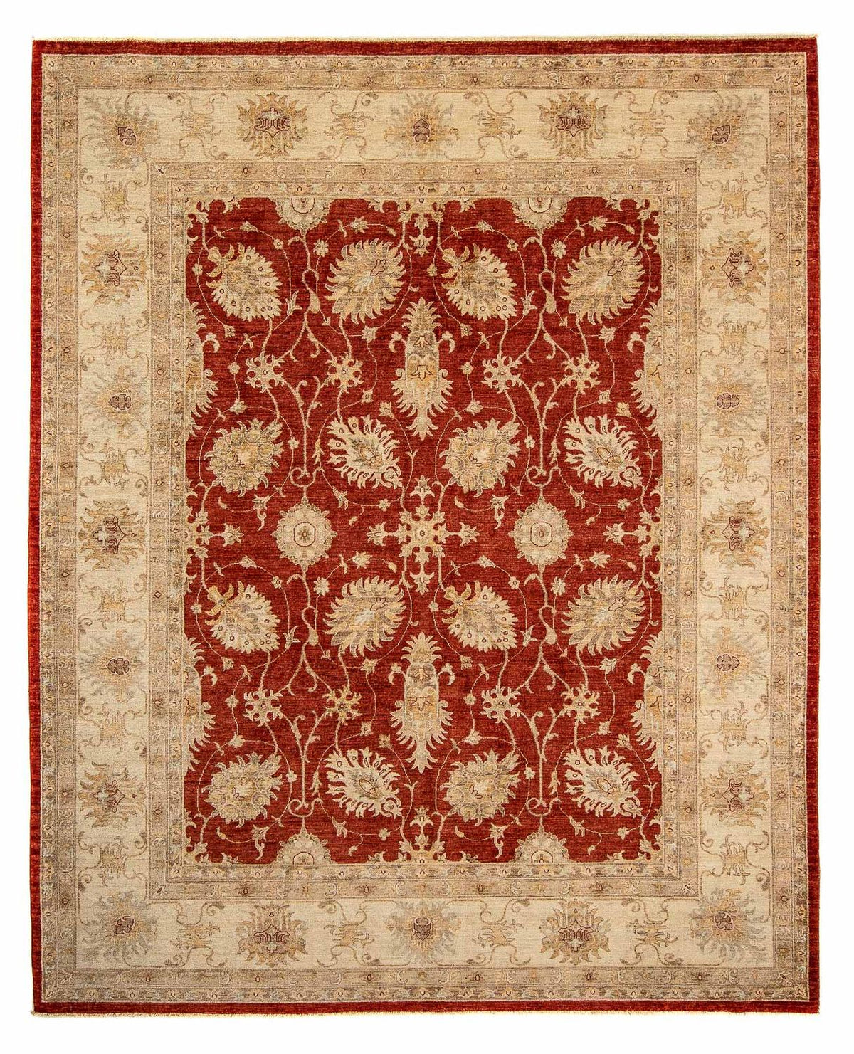 Ziegler Rug - 295 x 249 cm - dark red