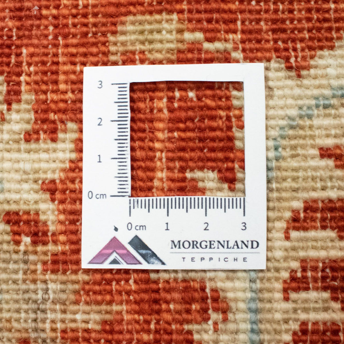 Ziegler Rug - 210 x 150 cm - beige