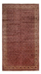 Bidjar - Takab Teppich 482x256cm - Perserteppich