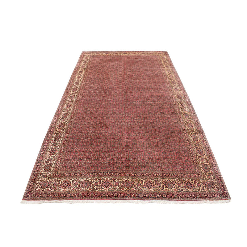 Perser Rug - Bidjar - 482 x 256 cm - brown