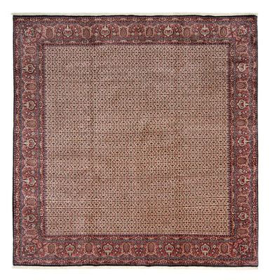 Perser Rug - Bidjar square  - 366 x 348 cm - beige