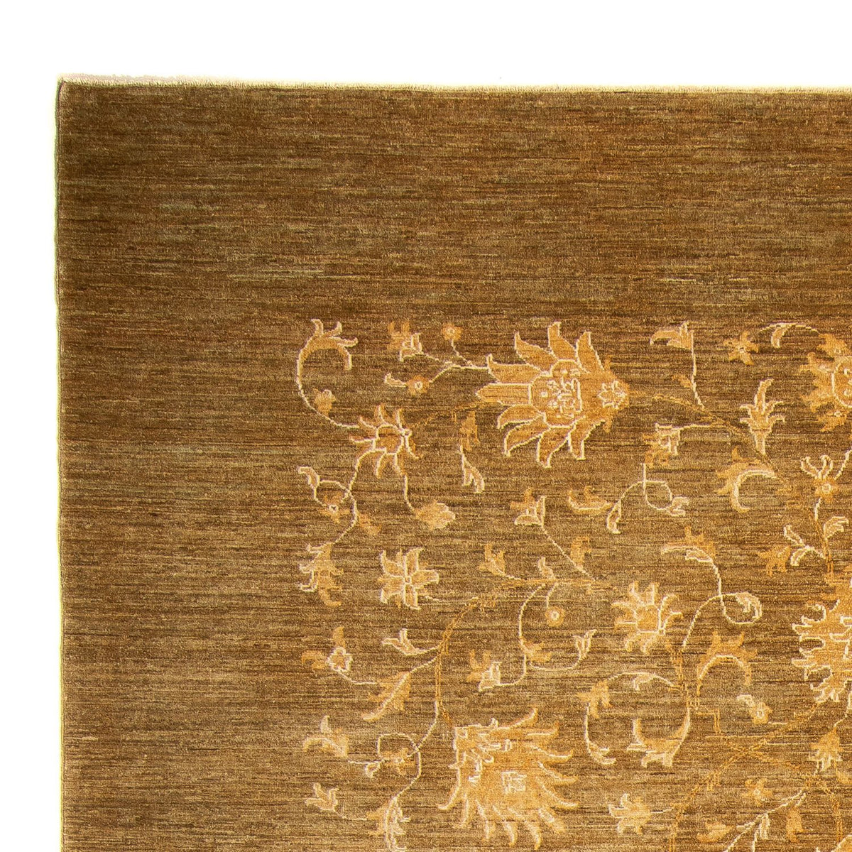 Ziegler Rug - 360 x 271 cm - gold