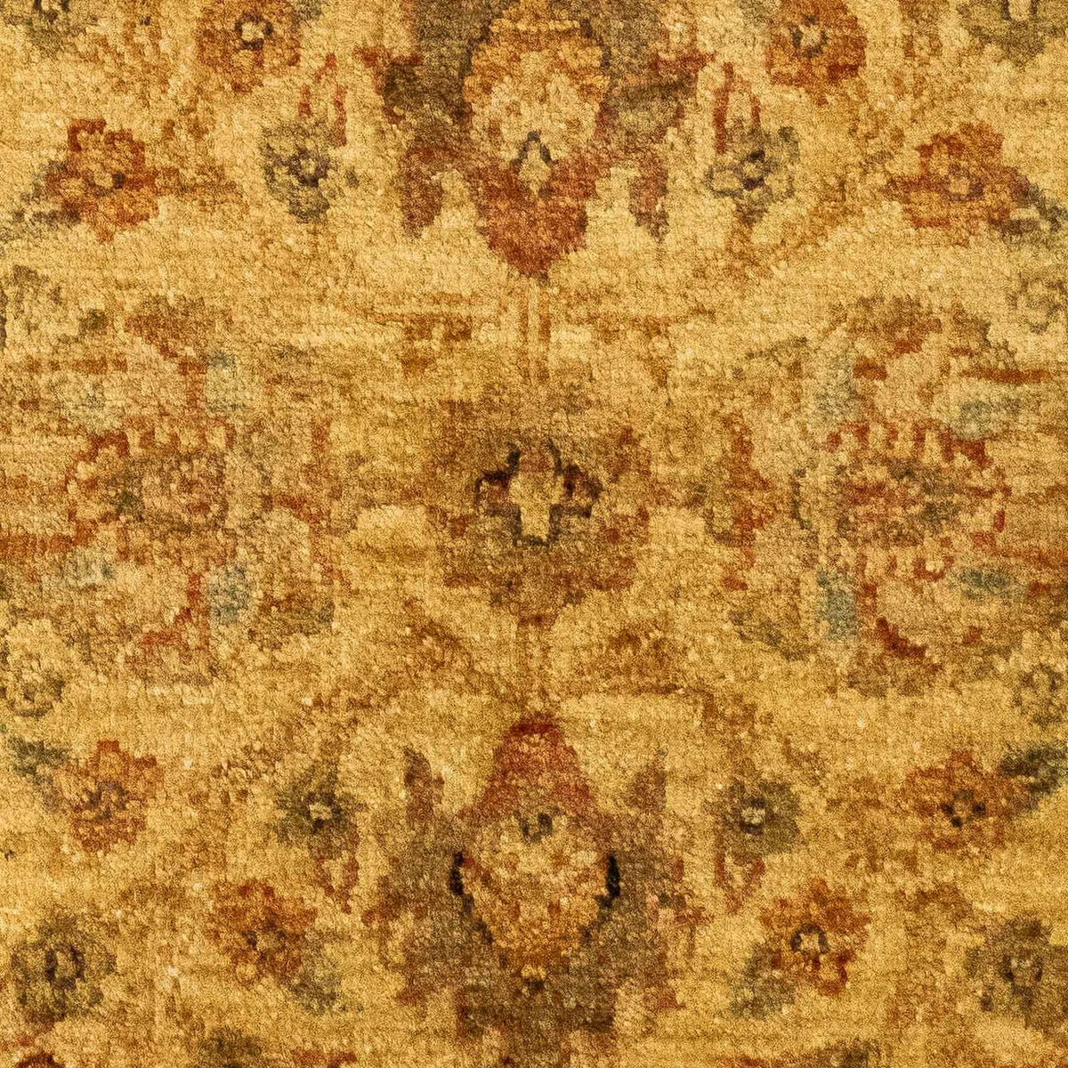 Ziegler Rug - 91 x 59 cm - gold