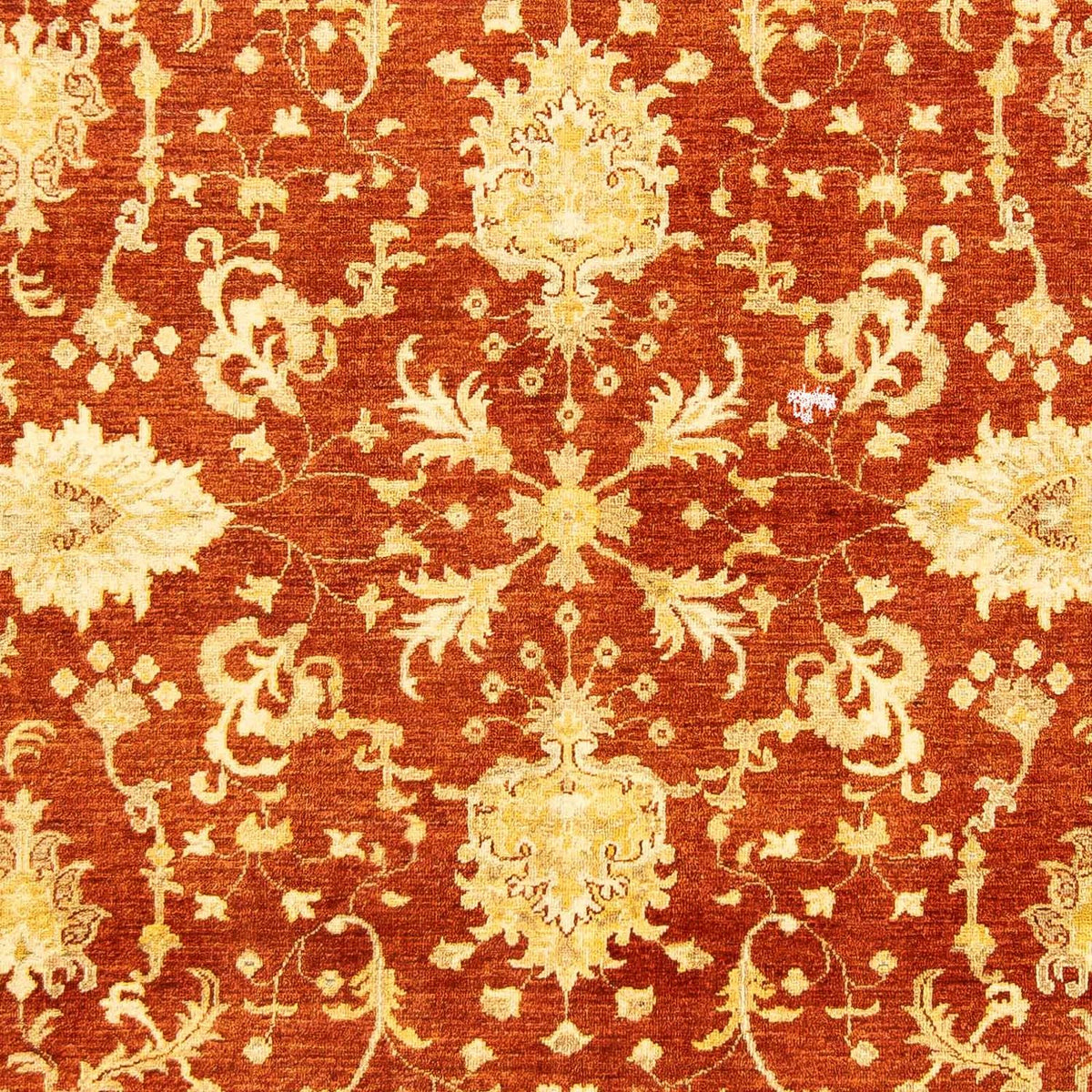 Ziegler Rug - 251 x 198 cm - dark red