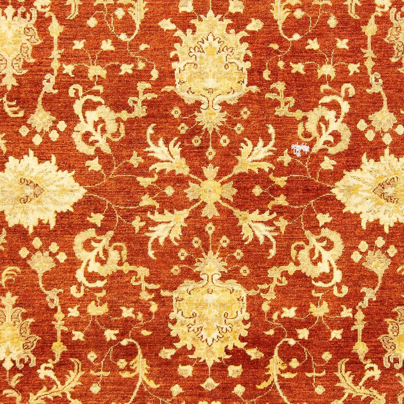 Ziegler Rug - 251 x 198 cm - dark red