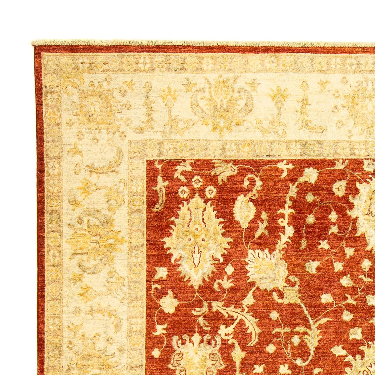 Ziegler Rug - 251 x 198 cm - dark red