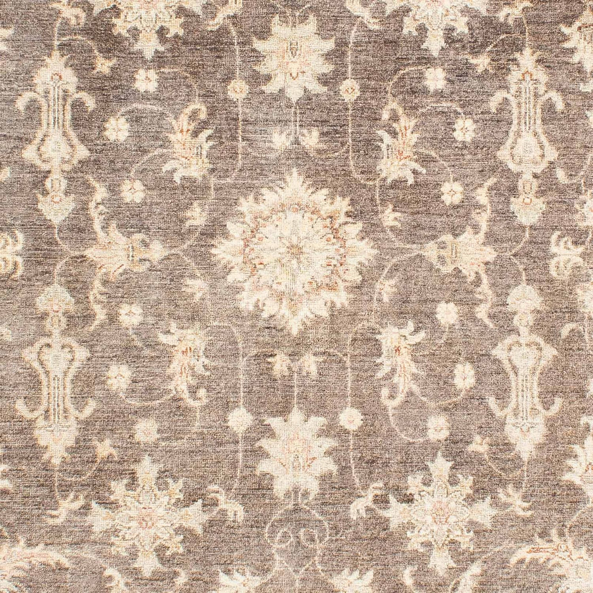 Ziegler Rug - 236 x 166 cm - beige
