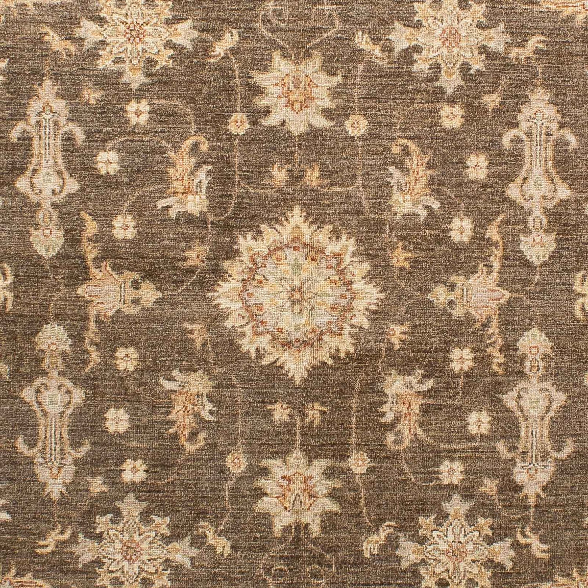 Ziegler Rug - 241 x 170 cm - dark brown