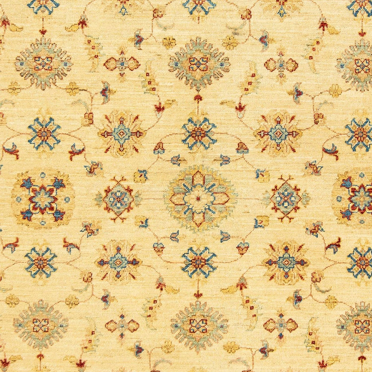 Ziegler Rug - 239 x 199 cm - beige