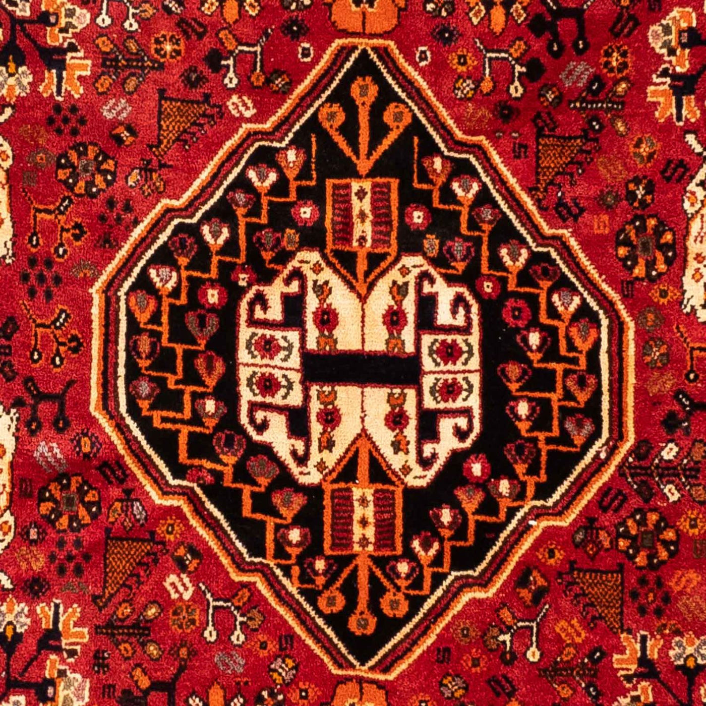 Shiraz Rug 248x160cm - Persian Rugs