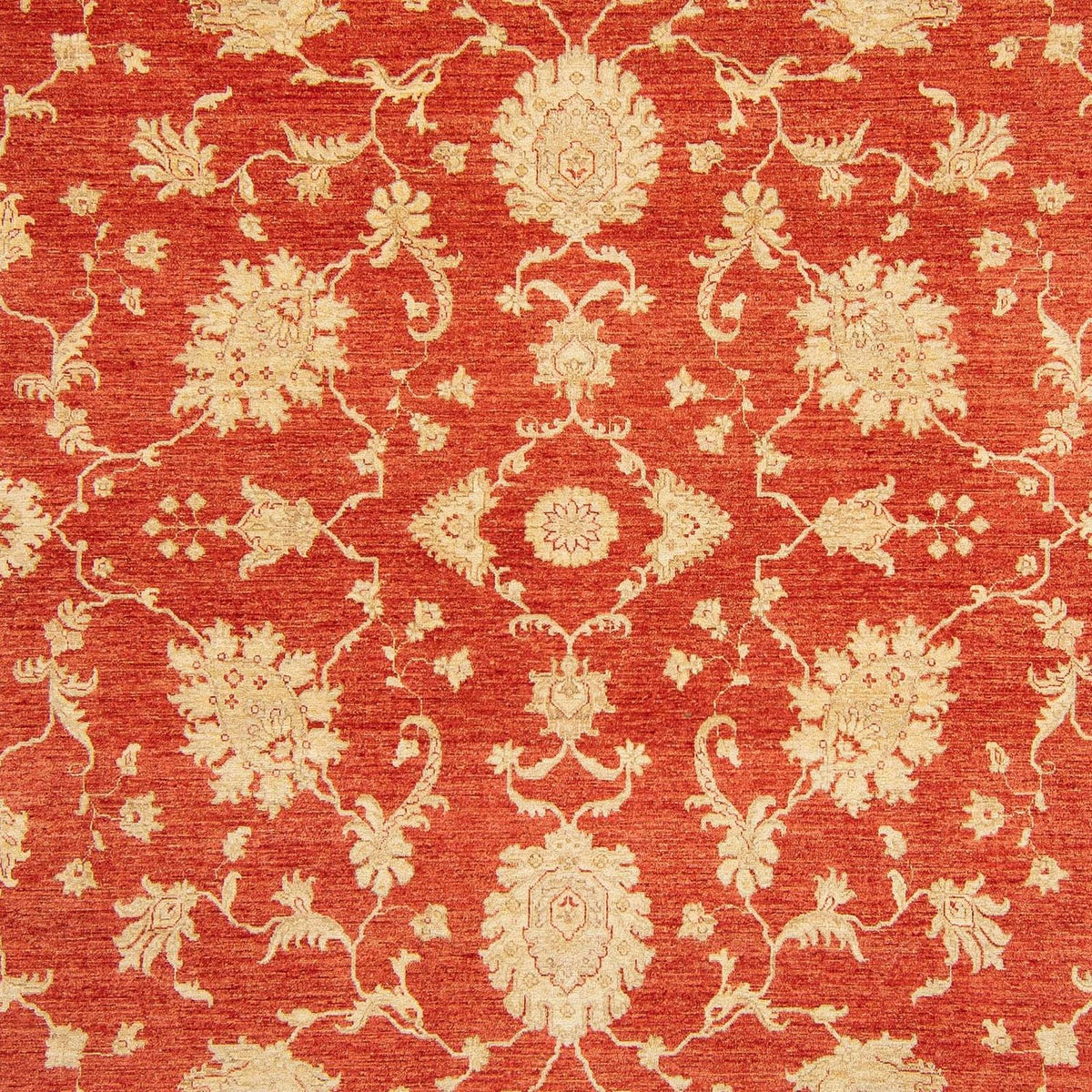 Ziegler Rug - Kazak - 363 x 276 cm - red