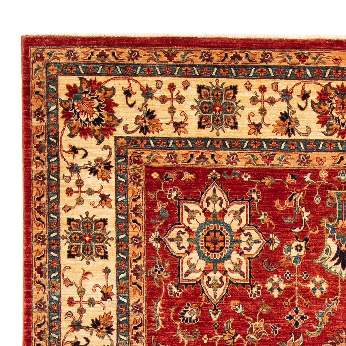 Ziegler Rug - 288 x 204 cm - dark red