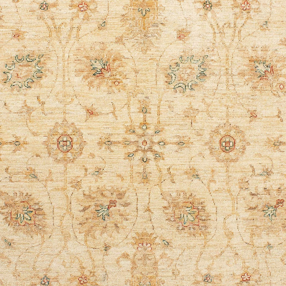 Ziegler Rug - Kazak - 236 x 167 cm - beige