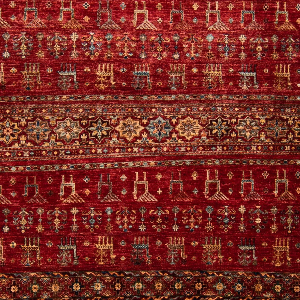 Ziegler Rug - 303 x 245 cm - dark red