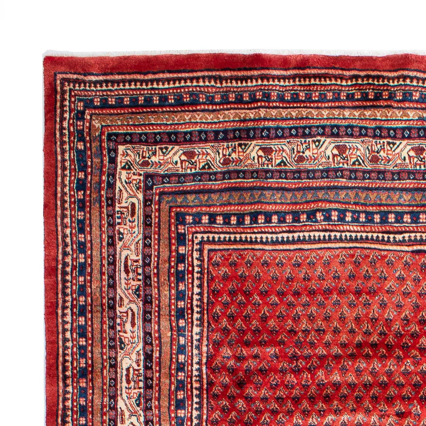 Mir Rug 316x220cm - Persian Rugs