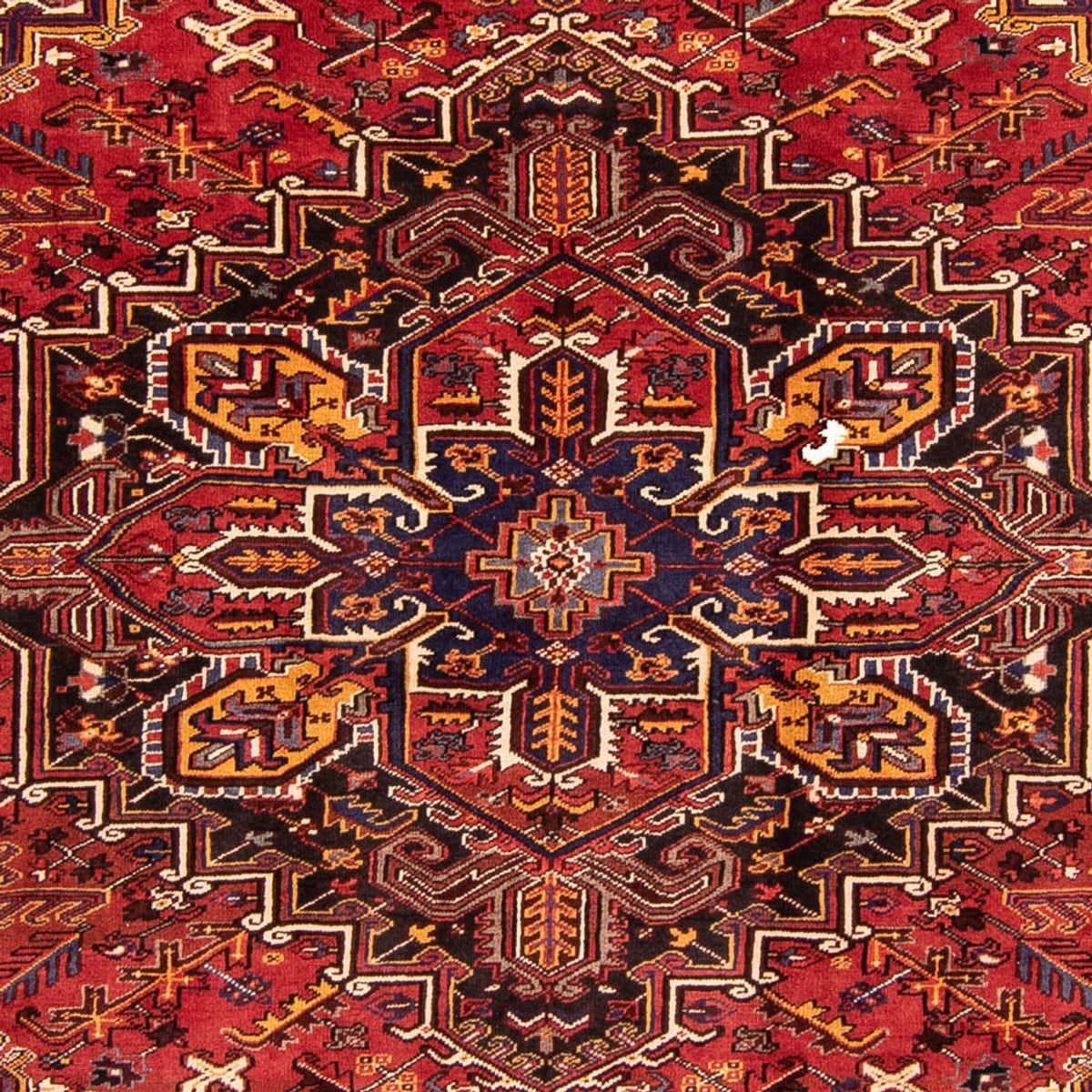 Perser Rug - Nomadic - 329 x 254 cm - dark red