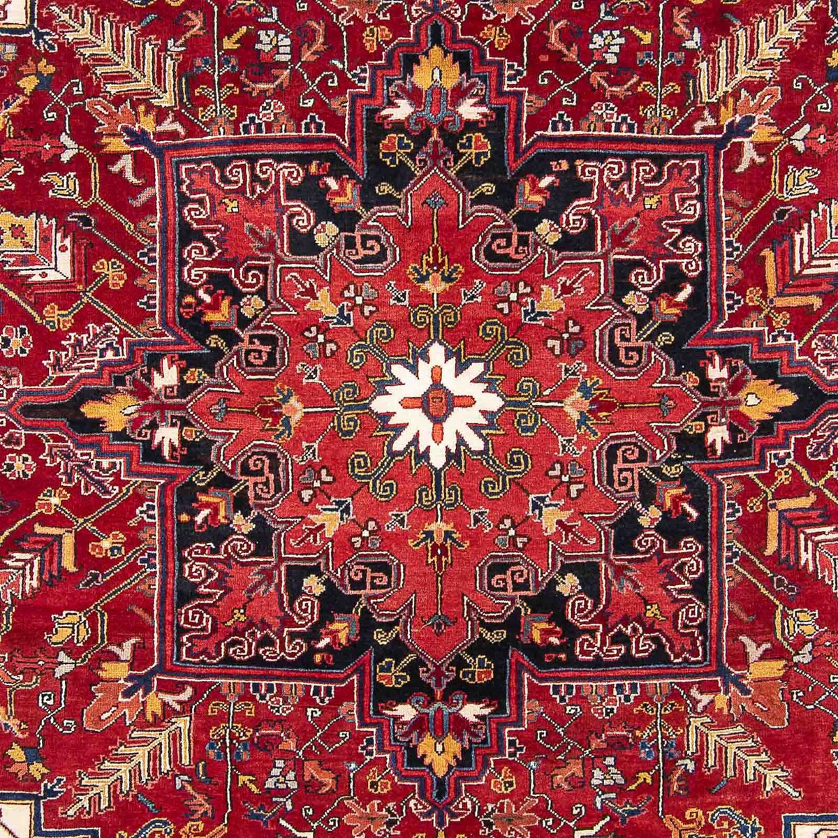 Perser Rug - Nomadic - 323 x 230 cm - light red