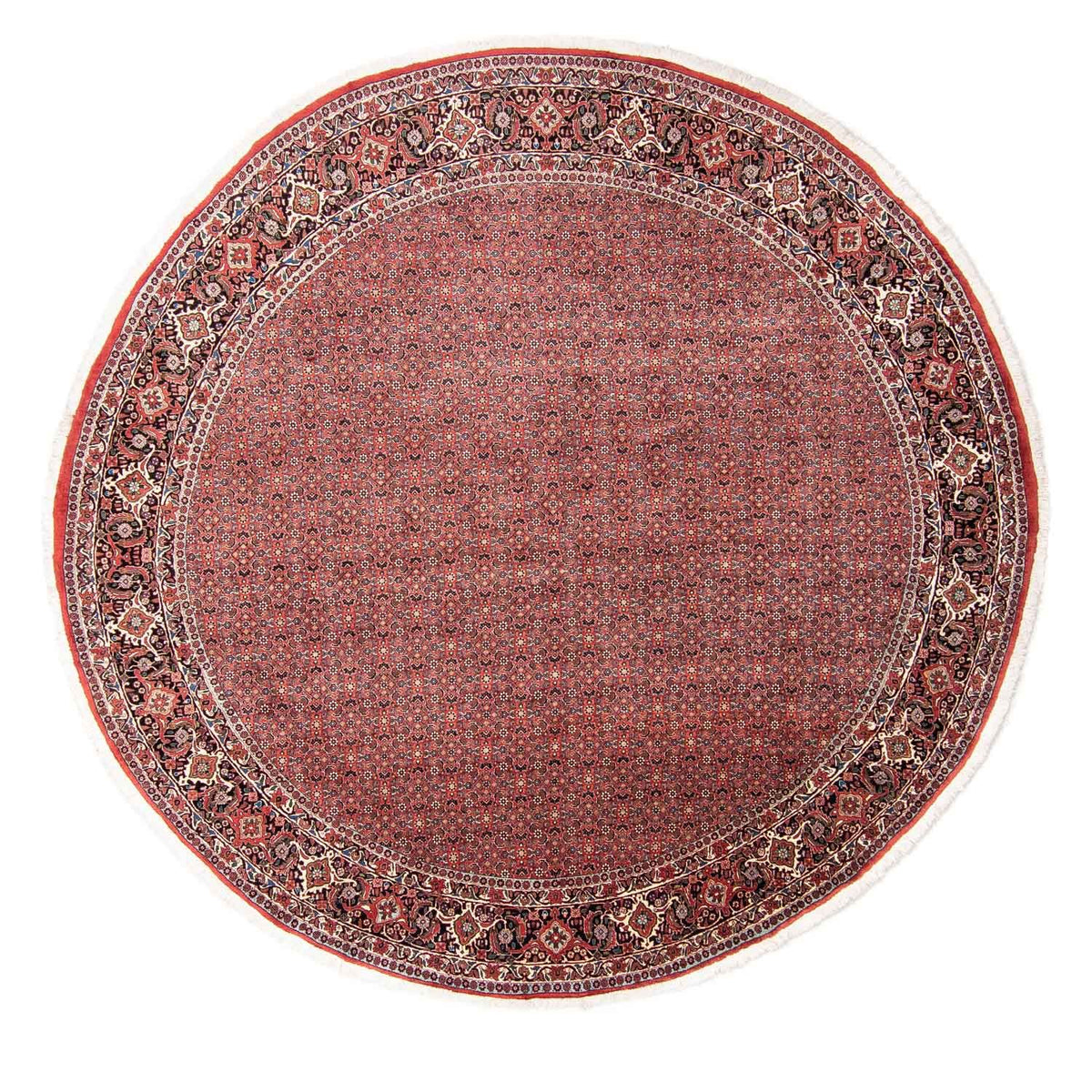 Perser Rug - Bidjar round  - 300 x 300 cm - red