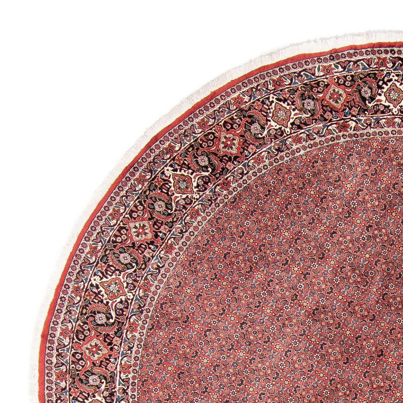 Bidjar Rug 300x300cm - Persian Rugs